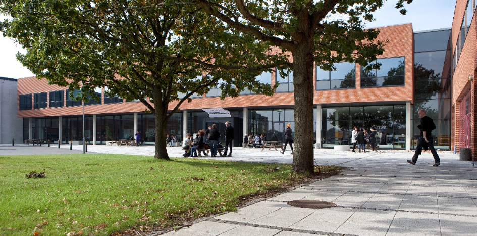 University College Syddanmark